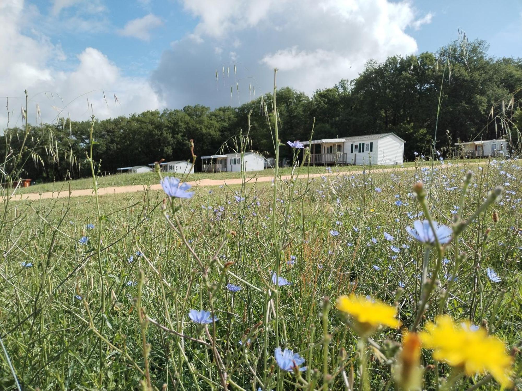 Camping Nature Le Valenty Mobil-Home-Dordogne Panoramique Clim Piscine Soturac エクステリア 写真