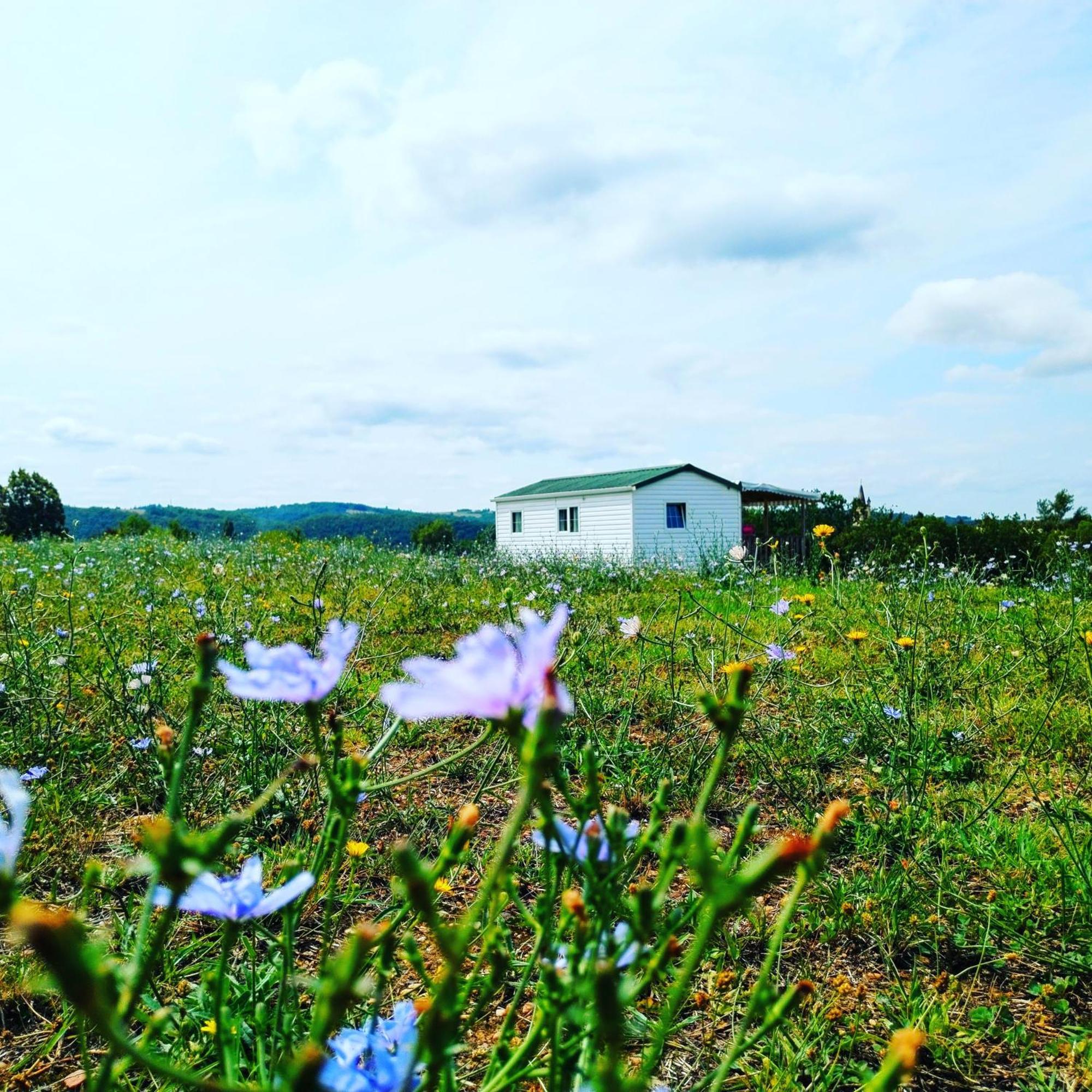 Camping Nature Le Valenty Mobil-Home-Dordogne Panoramique Clim Piscine Soturac エクステリア 写真